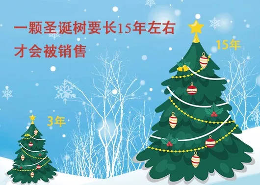 中國(guó)最早報(bào)道圣誕節(jié)的竟是《人民日?qǐng)?bào)》，你不知道的10個(gè)圣誕小知識(shí)