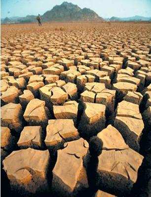 優(yōu)化水資源 改變城市生活_新浪汽車_新浪網