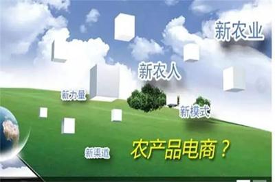 加快農(nóng)業(yè)信息化建設(shè)，拓展農(nóng)產(chǎn)品營銷新渠道